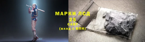 ГАЛЛЮЦИНОГЕННЫЕ ГРИБЫ Алексин