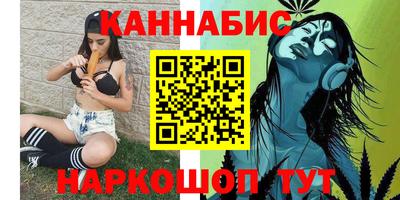 стаф Шебекино